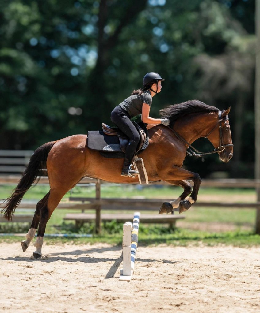 Student rider jumping a bay horse over a fence in the sand arena at Sovereign Hill Stables