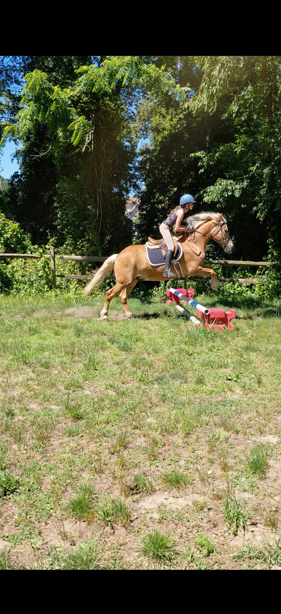 Student rider jumping a horse at Sovereign Hill Stables