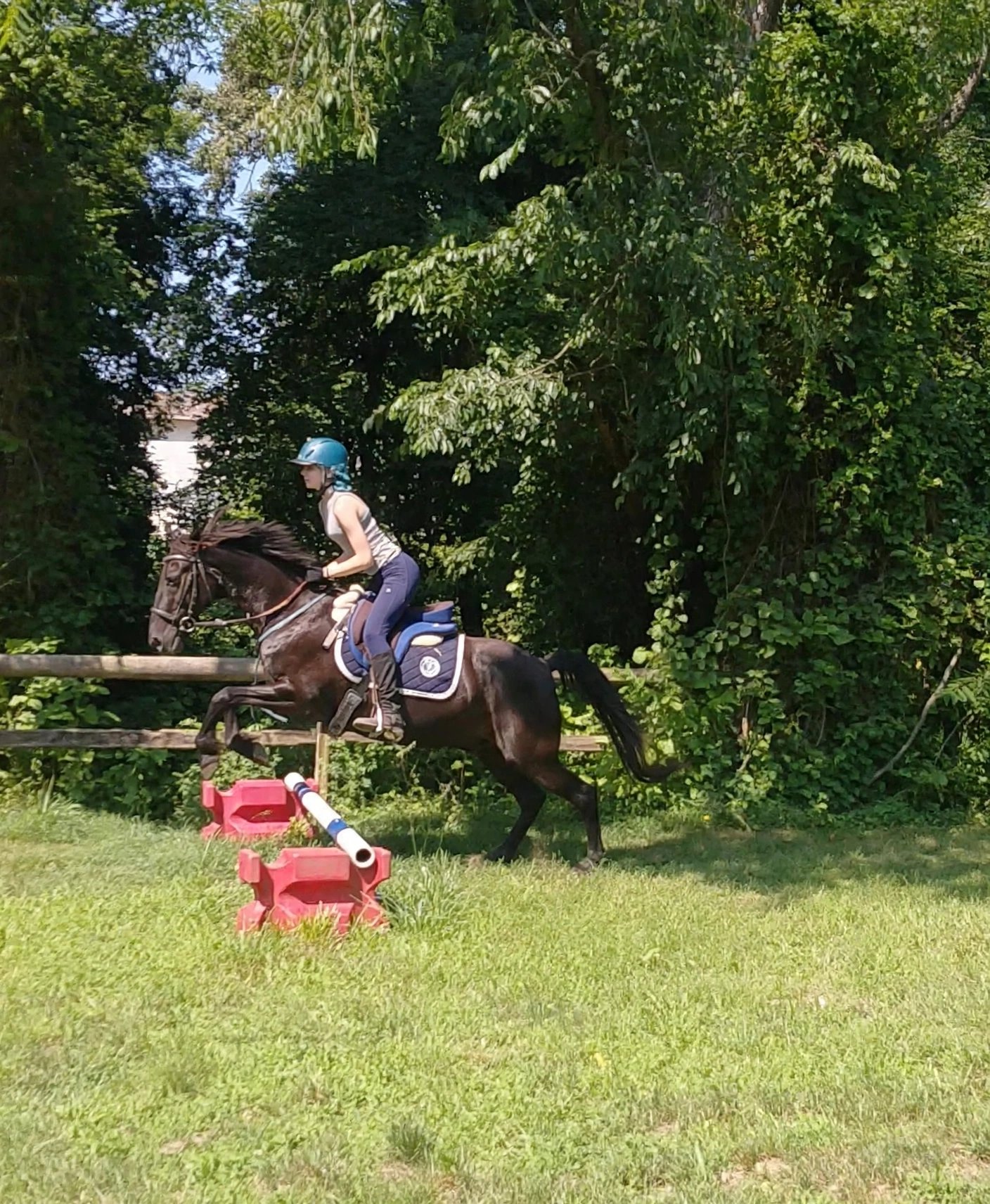 Student rider jumping a horse at Sovereign Hill Stables